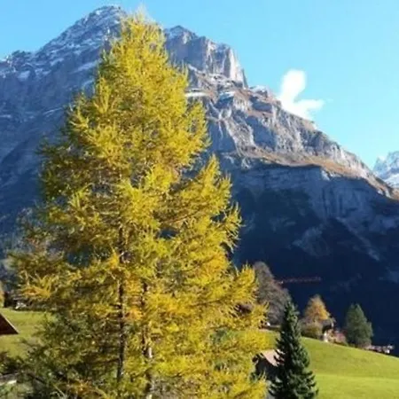 Chalet Moosrain - Studio West Apartment Grindelwald