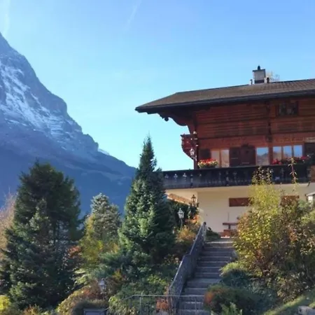 Apartment Chalet Moosrain - Studio West Grindelwald