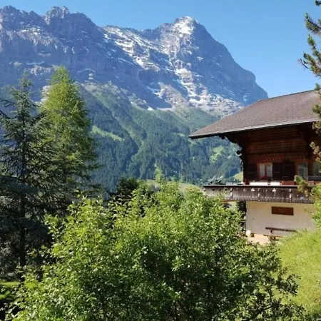 Chalet Moosrain - Studio West Apartment Grindelwald